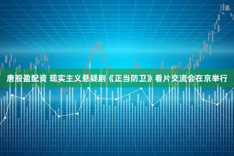 唐股盈配资 现实主义悬疑剧《正当防卫》看片交流会在京举行